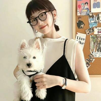 至爱梵高:不可能之梦